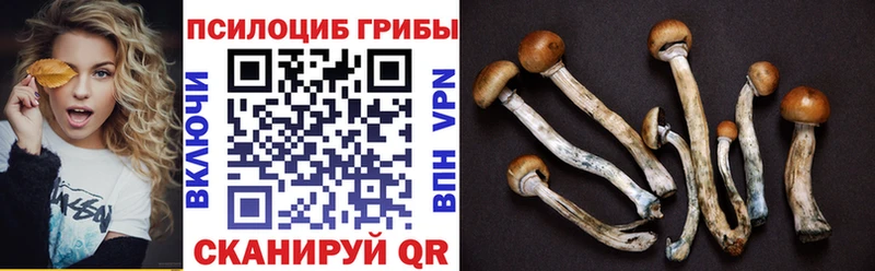Псилоцибиновые грибы мухоморы  Пойковский 