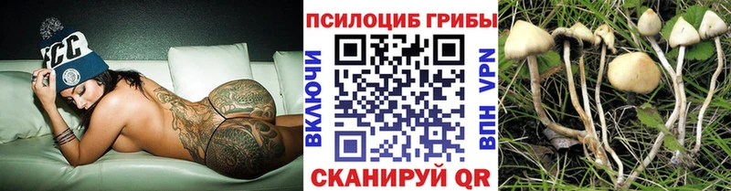 Галлюциногенные грибы Cubensis Пойковский